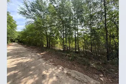 Rrf 5 Rogers Cemetery Road #Rrf 5, Salley, SC 29137 - Photo 3