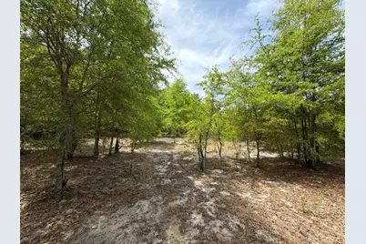 Rrf 5 Rogers Cemetery Road #Rrf 5, Salley, SC 29137 - Photo 11