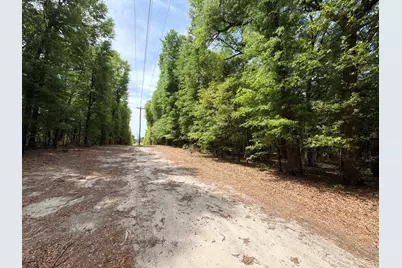 Rrf 5 Rogers Cemetery Road #Rrf 5, Salley, SC 29137 - Photo 15