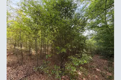 Rrf 5 Rogers Cemetery Road #Rrf 5, Salley, SC 29137 - Photo 23
