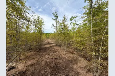 Rrf 6 Rogers Cemetery Road #Rrf 6, Salley, SC 29137 - Photo 15