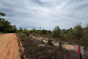 Rrf 6 Rogers Cemetery Rd, Salley, SC 29137 - Photo 1