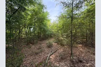 Rrf 6 Rogers Cemetery Road #Rrf 6, Salley, SC 29137 - Photo 11
