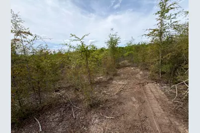 Rrf 7 Rogers Cemetery Road #Rrf 7, Salley, SC 29137 - Photo 13