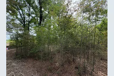 Rrf 7 Rogers Cemetery Road #Rrf 7, Salley, SC 29137 - Photo 11