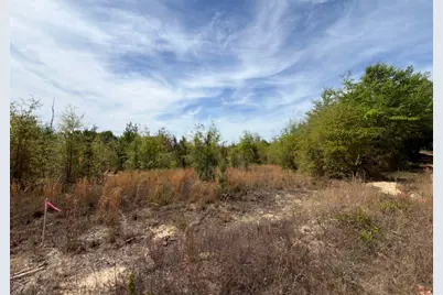 Rrf 7 Rogers Cemetery Road #Rrf 7, Salley, SC 29137 - Photo 7