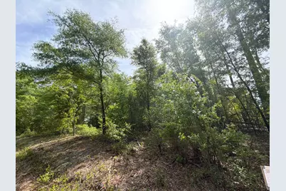 Rrf 7 Rogers Cemetery Road #Rrf 7, Salley, SC 29137 - Photo 3