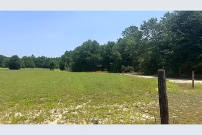 Tbd Poinsettia Road, Wagener, SC 29164 - Photo 3
