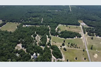 Tbd Poinsettia Road, Wagener, SC 29164 - Photo 5