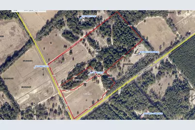 Tbd Poinsettia Road, Wagener, SC 29164 - Photo 15