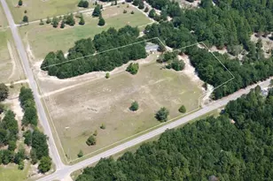 299 Poinsettia Rd, Wagener, SC 29164 - Photo 31