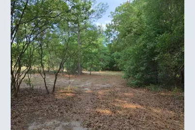 Lot 4 Holiness Church Road, Wagener, SC 29164 - Photo 15