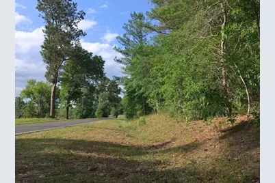 Lot 4 Holiness Church Road, Wagener, SC 29164 - Photo 7