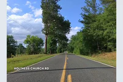 Lot 4 Holiness Church Road, Wagener, SC 29164 - Photo 5