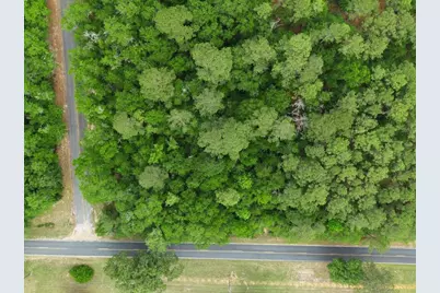 Lot 4 Holiness Church Road, Wagener, SC 29164 - Photo 3
