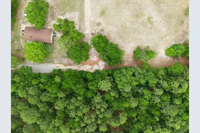 Lot 4 Holiness Church Road, Wagener, SC 29164 - Photo 11