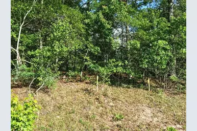 Lot 4 Holiness Church Road, Wagener, SC 29164 - Photo 9