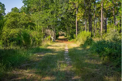 1779 Agile Court, Aiken, SC 29803 - Photo 59
