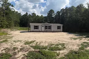 303 Sampson Rd, Gilbert, SC 29054 - Photo 1