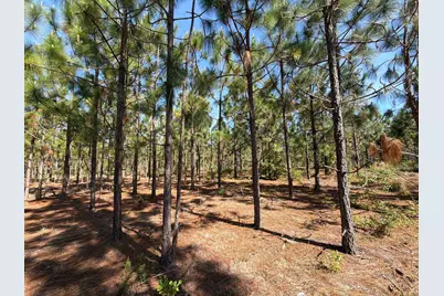 Hrf 4 Holstein Road #Hrf 4, Wagener, SC 29164 - Photo 3