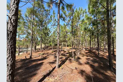 Hrf 4 Holstein Road #Hrf 4, Wagener, SC 29164 - Photo 1
