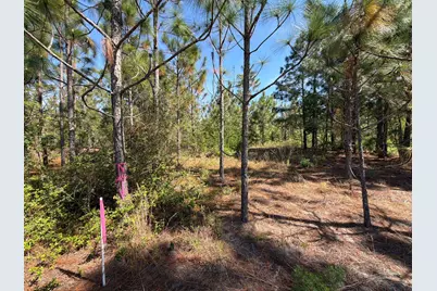 Hrf 4 Holstein Road #Hrf 4, Wagener, SC 29164 - Photo 5