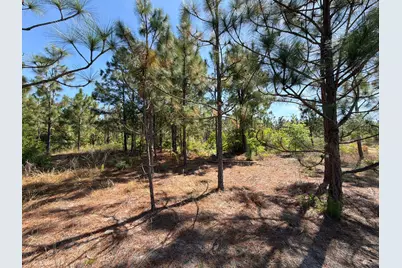 Hrf 4 Holstein Road #Hrf 4, Wagener, SC 29164 - Photo 9