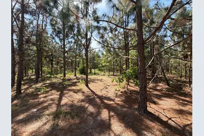Hrf 5 Holstein Road #Hrf 5, Wagener, SC 29164 - Photo 7