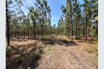 Hrf 5 Holstein Road #Hrf 5, Wagener, SC 29164 - Photo 5