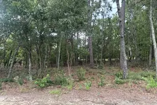 169 Highland Reserve Ct, Aiken, SC 29803 - Photo 1