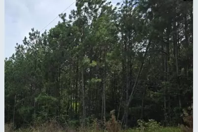 5A Old Edgefield Road, Ninety Six, SC 29666 - Photo 1
