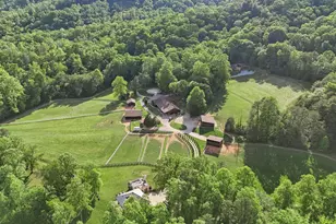 957 & 959 Dave Whitaker Rd, Horse Shoe, NC 28742 - Photo 3