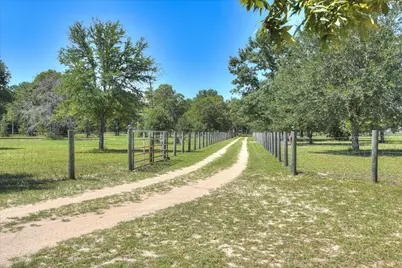 771 N Windsor Road, Williston, SC 29853 - Photo 5