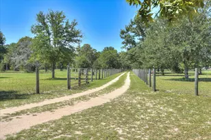 771 N Windsor Rd, Williston, SC 29853 - Photo 5