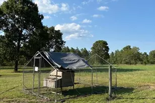 771 N Windsor Rd, Williston, SC 29853 - Photo 15