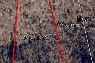 Lot 114 Scentlok Trace, Warrenville, SC 29851 - Photo 1
