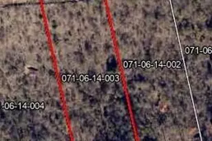 Lot 113 Scentlok Trace, Warrenville, SC 29851 - Photo 1