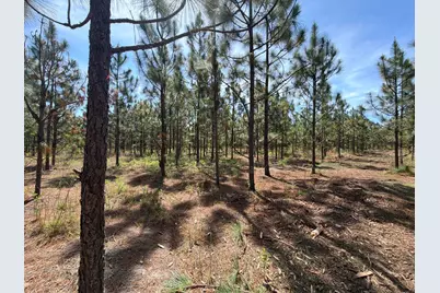 Hrf 6 Holstein Road #Hrf 6, Wagener, SC 29164 - Photo 5