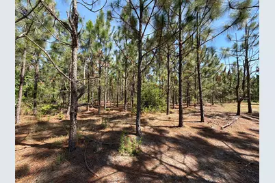 Hrf 6 Holstein Road #Hrf 6, Wagener, SC 29164 - Photo 9