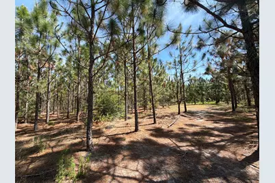 Hrf 6 Holstein Road #Hrf 6, Wagener, SC 29164 - Photo 11