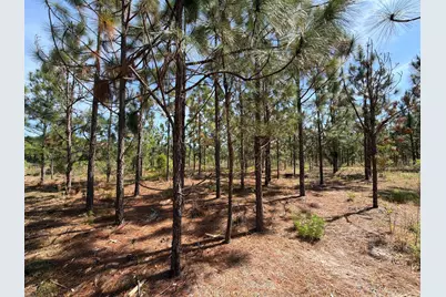 Hrf 6 Holstein Road #Hrf 6, Wagener, SC 29164 - Photo 7