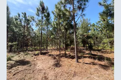 Hrf 7 Holstein Road #Hrf 7, Wagener, SC 29164 - Photo 9