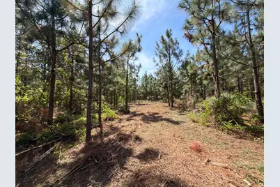 Hrf 7 Holstein Road #Hrf 7, Wagener, SC 29164 - Photo 3