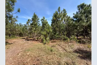 Hrf 7 Holstein Road #Hrf 7, Wagener, SC 29164 - Photo 5