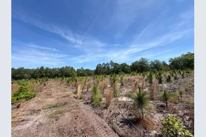 Hrf 8 Holstein Road #Hrf 8, Wagener, SC 29164 - Photo 15