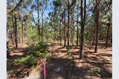 Hrf 8 Holstein Road #Hrf 8, Wagener, SC 29164 - Photo 3