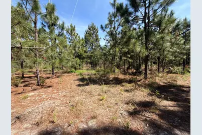 Hrf 8 Holstein Road #Hrf 8, Wagener, SC 29164 - Photo 5