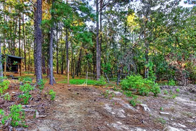 16091 Hartsville-Ruby Road, Hartsville, SC 29550 - Photo 43