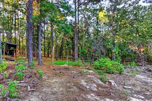 16091 Hartsville-Ruby Rd, Hartsville, SC 29550 - Photo 43