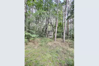 157 Promised Land Road, Edgefield, SC 29824 - Photo 11
